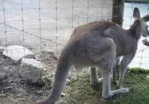 雅紅特  用8個(gè)小故事講透質(zhì)量管理！